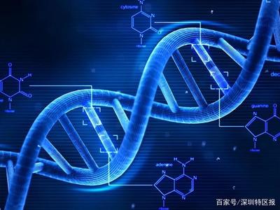 深圳為細胞和基因產(chǎn)業(yè)立法 劃定創(chuàng)新與倫理紅線，擬明令禁止生殖基因編輯